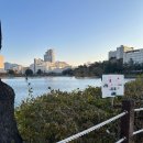 논술 후기(1)