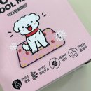 댕댕포유 이미지