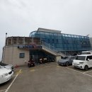 울릉도 오징어회타운 만금물산 용궁수산 독도새우 모듬회 포장후기 독도새우 모듬회 가격
