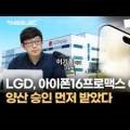 영메디코스 이미지