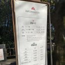 제주 여행 필수코스 “카멜리아힐” 12월 중순 동백현황