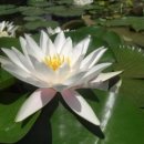 아이엔여기한의원 이미지