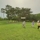 여의도유아숲