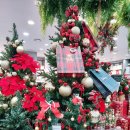 경춘북로358번길 | 11월의 일상 이야기 2