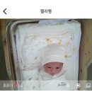 청명 더스위트 | 안양 제이에스산후조리원 스위트룸 13박 14일 솔직후기:)