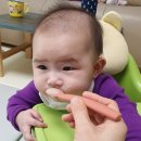 이유식준비물 스푼, 홍스파파 실리콘스푼으로 잘 먹여보자
