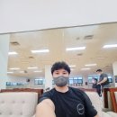 더팔페이션