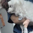 [주간일기챌린지] 6월 6일부터 12일까지, 처음써보는 주간일기