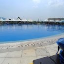 블루25 워터파크 (삼락야외수영장) 이미지