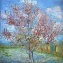 이문영 행정사사무소 이미지