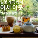 어서;이곳 | [밀양 카페] 계곡을 끼고 있는 반려동물 동반 가능 카페 어서이곳 내돈내산 후기, 어서 이곳으로 와요