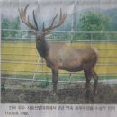 이세구농장 Daum카페