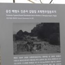 백령도 패총 이미지