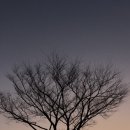 영한여행사