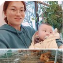 박진수농장 이미지