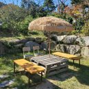 브라운피크닉 이미지