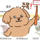 스토이 티스토리