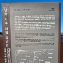 삼동면 전도3 | 남해여행추천 : '보물섬 전동바이크 투어' 남해 아이와 가볼만한 곳 추천!