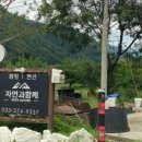 무릉도원면-33 이미지