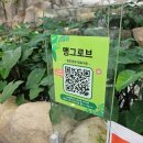 꽃향기어린이공원 | [포항 북구] 포항여행 가볼만한곳 실내 대형폭포 환호공원 식물원