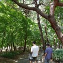 영화사 108계단 이미지