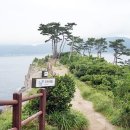 지심도 이미지