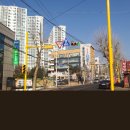 신호등 이미지