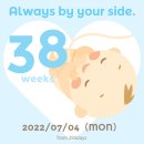 빠꿈사리