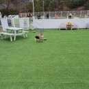 펠리스뻬로 이미지