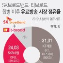 SK브로드밴드-티브로드 합병 법인 4월 30일 출범(종합) 이미지
