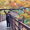 메아리마을 이미지