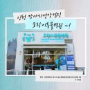 문화동물병원 | 송도 호랑이동물병원 강아지 건강검진 후기! 검사 과정 자세히 정리