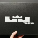 6151 | 나이키 르브론 TR 1 스모크 그레이 블랙 FJ6151-001