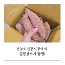 디지털온누리상품권 10%, 온누리전통시장 30% 할인으로 즐긴 밤고구마 후기