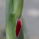 참아름 5단지 이미지