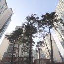 소사 SK뷰 이미지