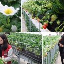 산천농장 이미지