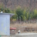 돌할매식당 이미지