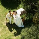 박영준길 이미지