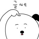 윤안경콘택트 이미지