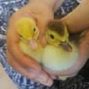 동녁골농장 이미지