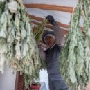 대우상사 이미지