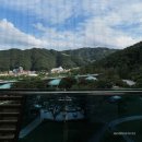 소노펠리체비발디파크 | 홍천비발디파크 소노펠리체 골드파크뷰 후기와 예약 꿀팁