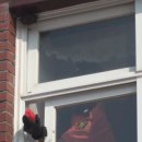 영천중앙초등학교 이미지