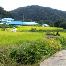 보룡1리 이미지