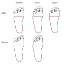 (Anatomy) Human Anatomy Fundamentals 03 이미지