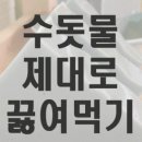 새뜸농장 네이버블로그