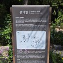 전주 한옥마을 사주 &#34;성불사 사주팔자&#34; 사주, 관상, 손금 후기