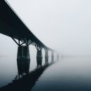 ........................................ 이미지