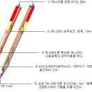 제니센의료기 이미지
